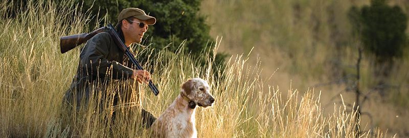 Категория охота